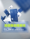 高級(jí)商務(wù)
